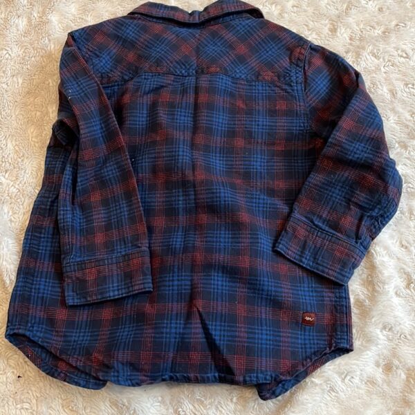 Boy’s button down plaid shirt by Tea, size 3