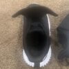 Pr of toddler Adidas black sneakers, size 8