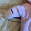 Quilted winter coverall by Absorba, size 0-3 months