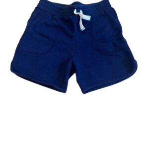 Splendid Boys Soft Blue Casual Shorts with Pockets and Faux Drawstring, Size 4T