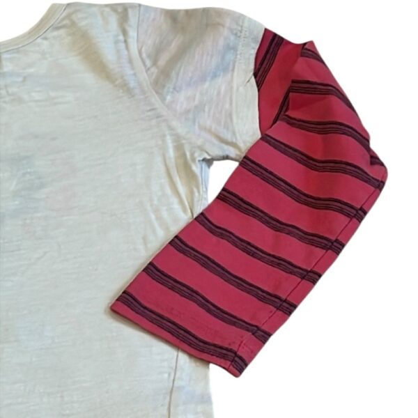 Mimi & Maggie Cream and Pink Long Sleeve Tee with Floral Design, Size 6X