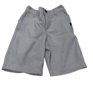 Quiksilver, Gray Pinstripe Amphibian Shorts, Size 6
