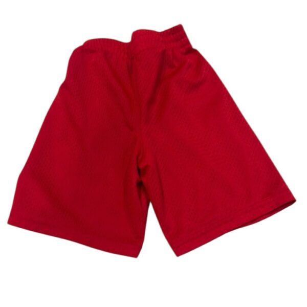 Champion Kids Red Athletic Shorts, Size 4