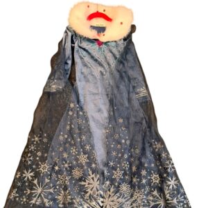 Disney Frozen II Elsa Costume and Wig, Size 7/8