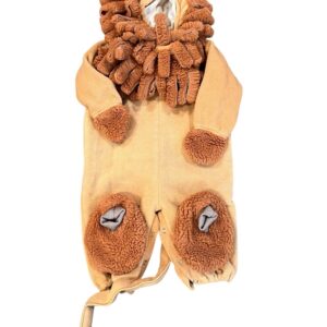 Incharacter Lion Costume for Baby, Size 6-12 months
