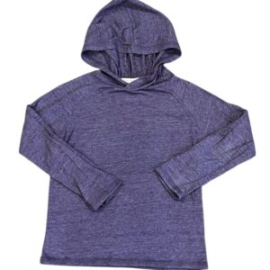 Threads 4 Thought, Boys Lightweight Blue Hooded Long Sleeve Tee, Size 3T